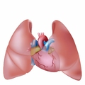 Zator tętnicy płucnej