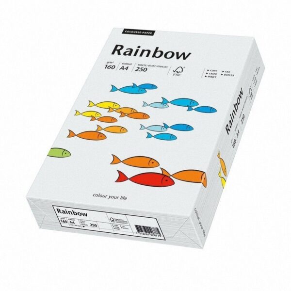 Papier ksero A4 160g jasno szary 250 sztuk 93 Rainbow