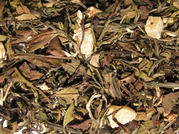 HERBATA WINOGRONOWA