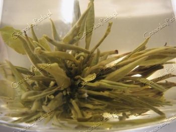 HERBATA GREEN BEEN TEA