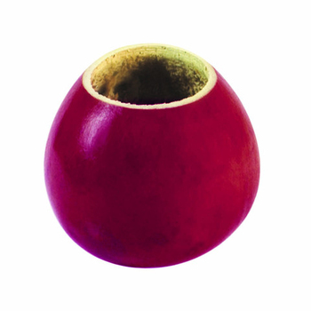 Calabaza Desnuda OberżynaTykwa bez okucia