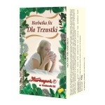 Herbatka dla trzustki 20x2g 