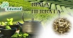 Biała herbata - najwyższa jakość i aromat! Biała Herbata 1kg