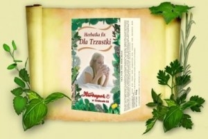 Herbatka fix dla trzustki 20szt