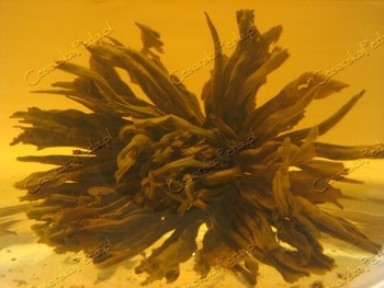 HERBATA JADE BAMBO