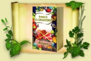 Herbatka fix na cholesterol 20szt