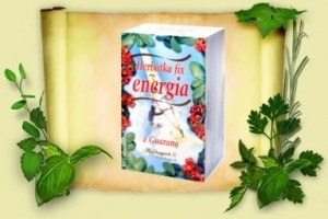 Herbatka fix Energia z Guaraną 20szt