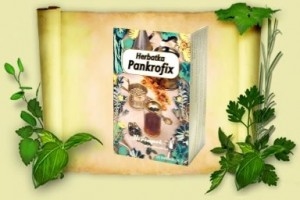 Herbatka Pankrofix 20szt