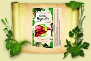 Herbatka Hepatefix 20szt
