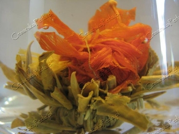 HERBATA CESARSKA LILIA