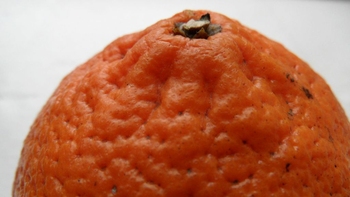 Cellulit-pomarańczowa skórka