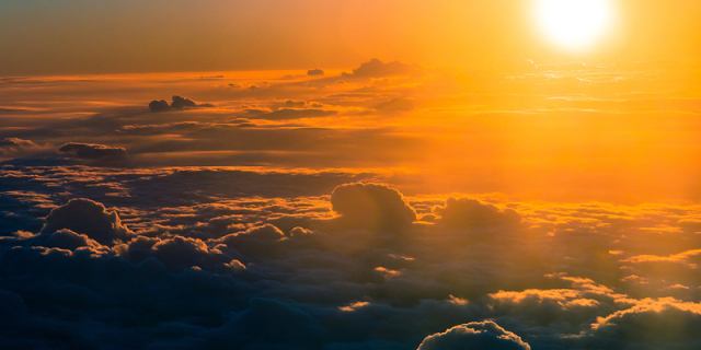 „Chrust plus” – zaplanowany fokus na niedocenianą biomasę?