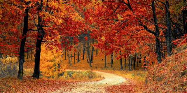 Czy sytuacja energetyczna w Polsce i na świecie powinna wpłynąć na odroczenie realizacji celów ekologicznych?