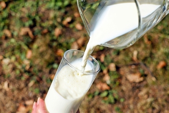Mleko – mity kontra rzetelne rekomendacje