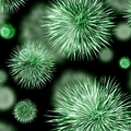Nadkażenie bakteryjne w czasie grypy