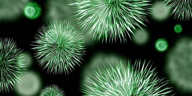 Nadkażenie bakteryjne w czasie grypy