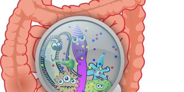 Diagnostyka genetyczna w kierunku jelita grubego